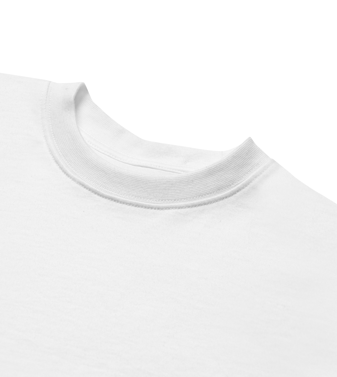 Axolotl Boxy Tee